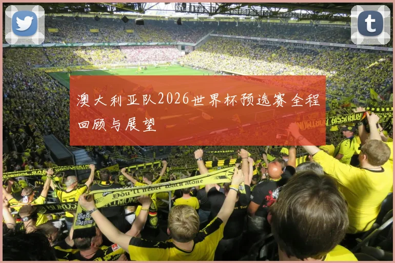 澳大利亚队2026世界杯预选赛全程回顾与展望